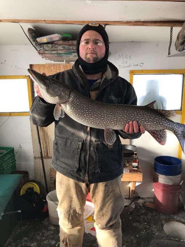 Spencer's 36" Feb. 2023